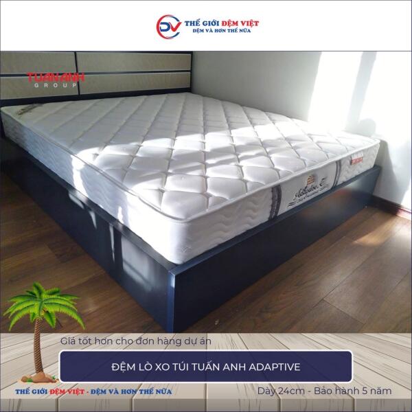 Đệm lò xo túi Tuấn Anh Adaptive 5